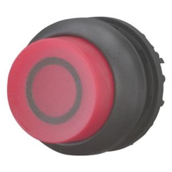 Illuminated pushbutton actuator, RMQ-Titan, Extended, momentary, red, inscribed, Bezel: black image 2