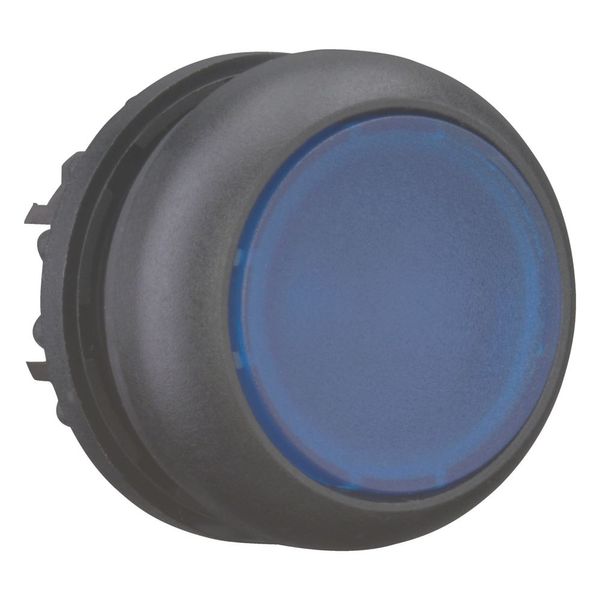Illuminated pushbutton actuator, RMQ-Titan, Flush, maintained, Blue, Blank, Bezel: black image 6