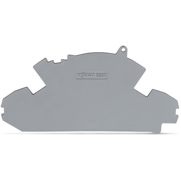 End plate 1.5 mm thick with lock-out seal option gray image 2