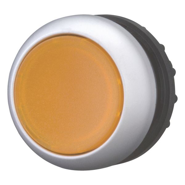 Illuminated pushbutton actuator, RMQ-Titan, Flush, maintained, orange, Blank, Bezel: titanium image 11