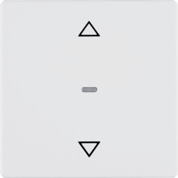 Shutter push-button, Q.1/Q.3, p. white velvety image 1