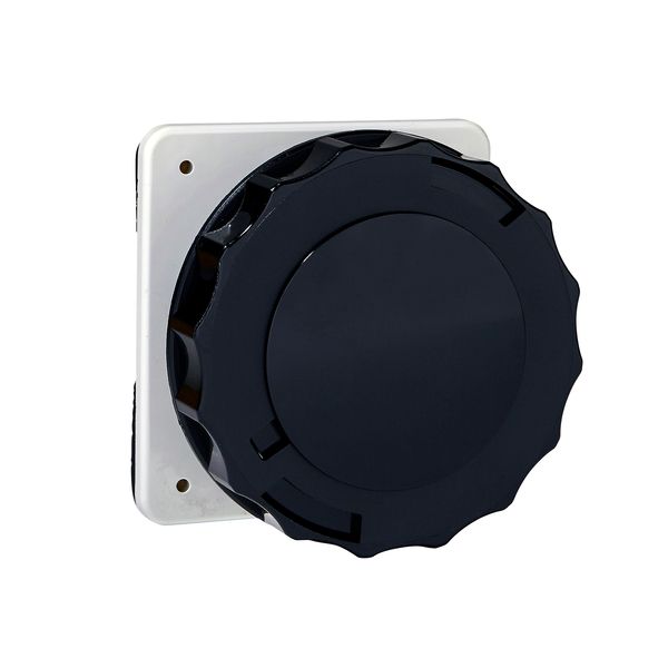 PratiKa socket - screw - straight - 16A - 3P + E - 480...500 V AC - panel image 1