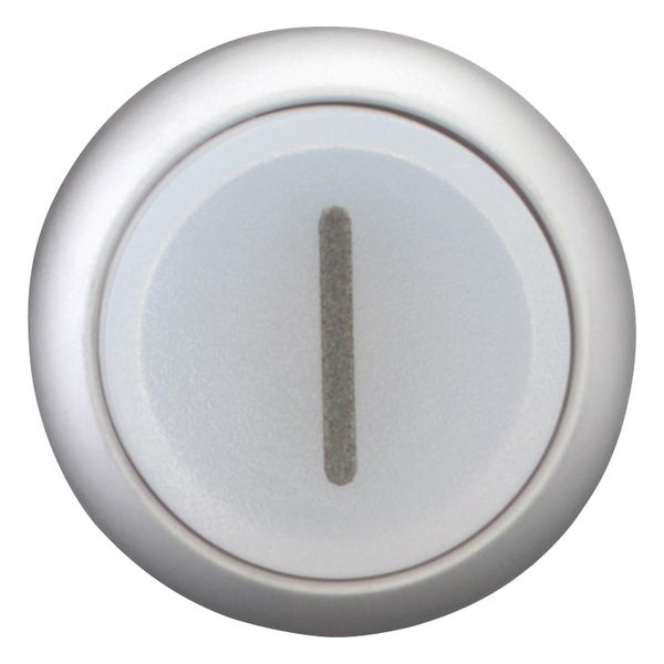 Illuminated pushbutton actuator, RMQ-Titan, Extended, maintained, White, inscribed 1, Bezel: titanium image 11