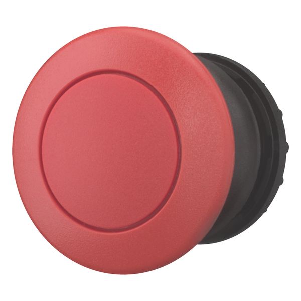 Mushroom actuator, RMQ-Titan, Mushroom, momentary, Mushroom red, red, Blank, Bezel: black image 3