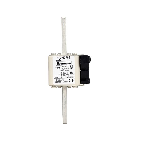 Fuse-link, high speed, 250 A, AC 690 V, compact size 1, 45 x 59 x 148 mm, aR, IEC, UL, single indicator image 6