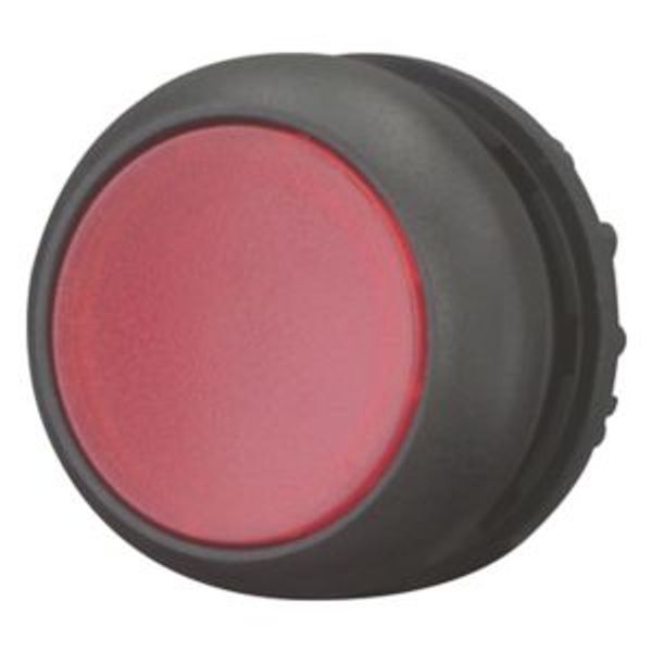 Illuminated pushbutton actuator, RMQ-Titan, Flush, maintained, red, Blank, Bezel: black image 8