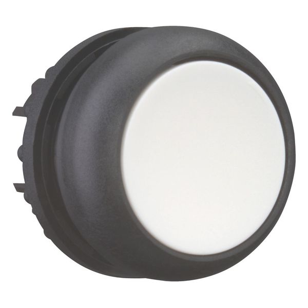 Pushbutton, RMQ-Titan, Flat, momentary, White, Blank, Bezel: black image 13