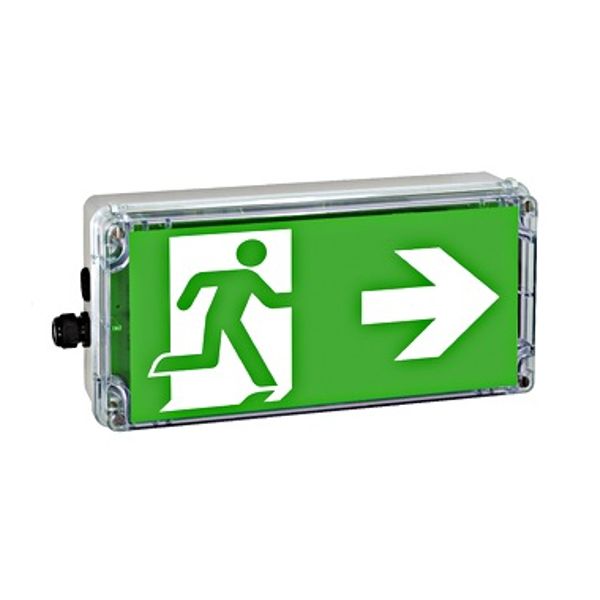 Explosion proof emerg.luminaire EXIT zone1/21 LED 230V AC/DC image 1