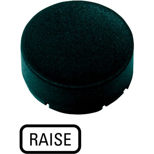 Button plate, raised black, RAISE image 2