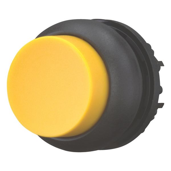 Pushbutton, RMQ-Titan, Extended, maintained, yellow, Blank, Bezel: black image 12