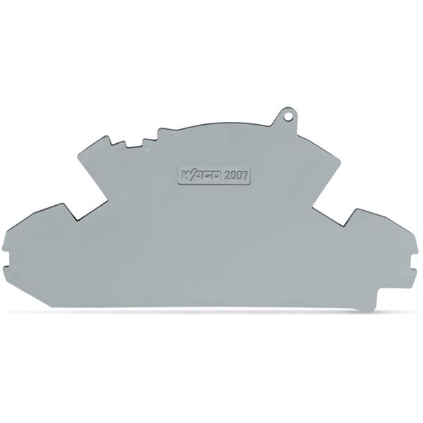End plate 1.5 mm thick with lock-out seal option gray image 3