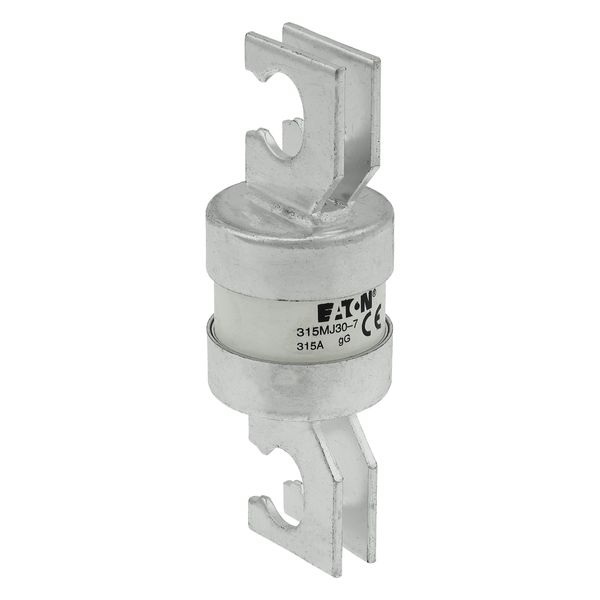 Utility fuse-link, LV, 315 A, AC 415 V, BS88/J, 38 x 110 mm, gL/gG, BS, 82mm fixing centres image 22