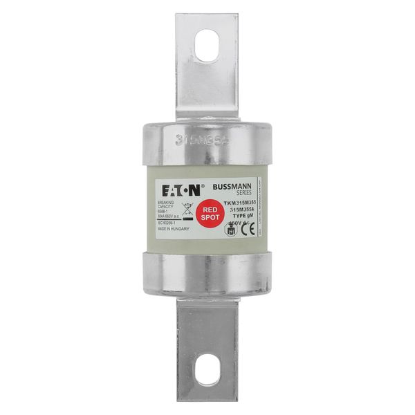 Fuse-link, low voltage, AC 660 V, DC 460 V, BS88, 53 x 160 mm, gM, BS image 8