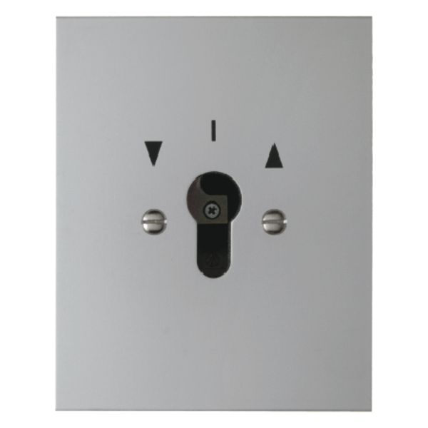 Switch f.blinds 2p imprint flush-mtd f.lock cylinder, screw term., Die image 1