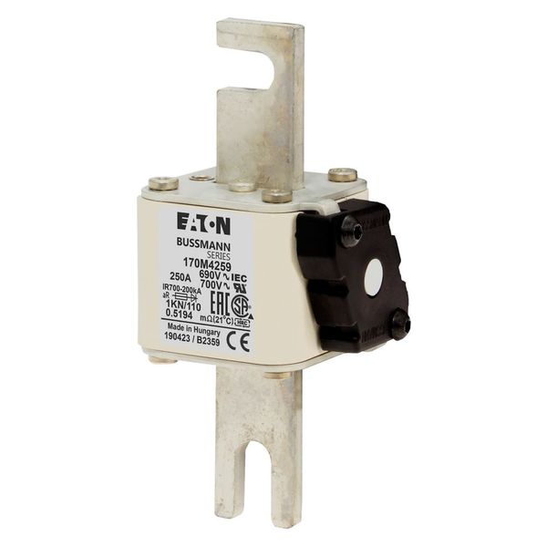 Fuse-link, high speed, 250 A, AC 690 V, DIN 1, 53 x 69 x 138 mm, aR, DIN, IEC, single indicator image 8