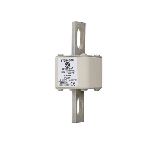 Fuse-link, high speed, 250 A, AC 690 V, size 1, 53 x 69 x 136 mm, aR, IEC, UL, no indicator, 90 mm centers image 8