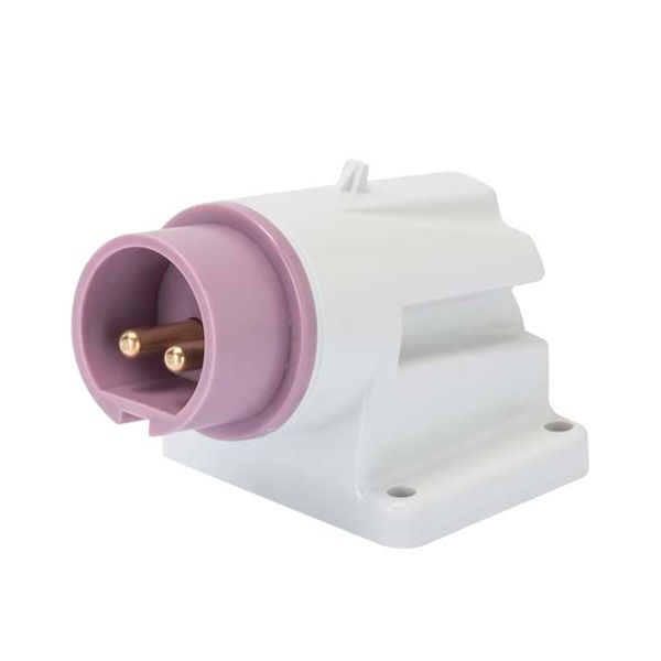 90° ANGLED SURFACE MOUNTING INLET - IP44 - 2P 32A 20-25V 50-60HZ - VIOLET - n.r. - SCREW WIRING image 2