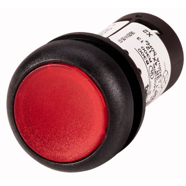 Illuminated pushbutton actuator, Flat, momentary, 1 NC, Screw connection, LED Red, red, Blank, 120 V AC, Bezel: black image 1