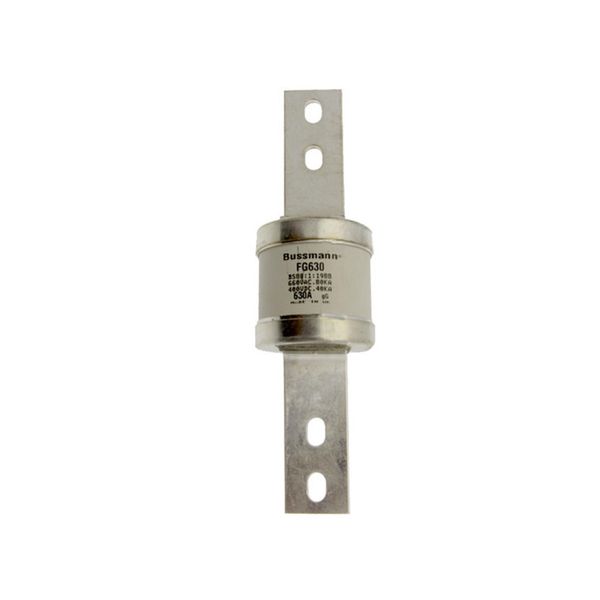 Fuse-link, low voltage, 560 A, AC 550 V, DC 400 V, BS88, 74 x 262 mm, gL/gG, BS image 7