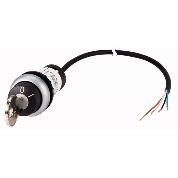 Key-operated actuator, RMQ compact solution, momentary, 1 N/O, Cable (black) with non-terminated end, 4 pole, 3.5 m, 2 positions, MS1, Bezel: titanium image 1