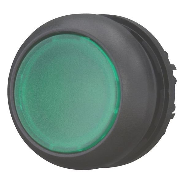 Illuminated pushbutton actuator, RMQ-Titan, Flush, momentary, green, Blank, Bezel: black image 5