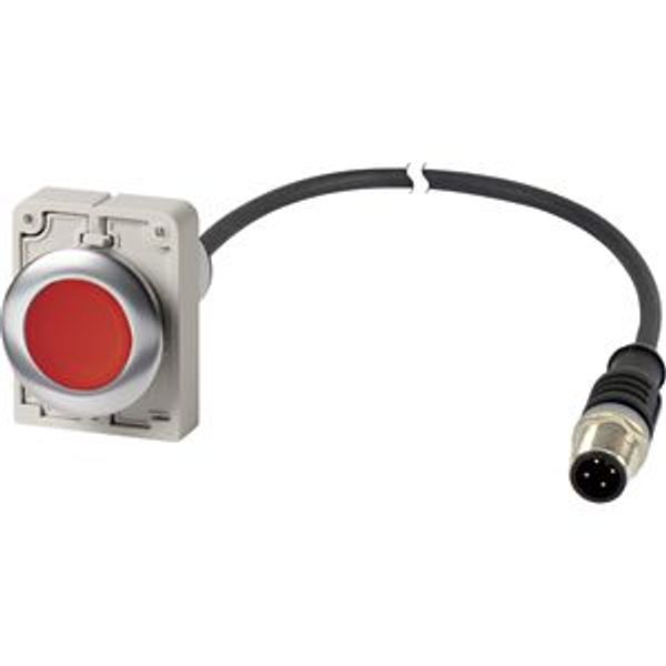 Illuminated pushbutton actuator, Flat, momentary, 1 NC, Cable (black) with M12A plug, 4 pole, 1 m, LED Red, red, Blank, 24 V AC/DC, Metal bezel image 2