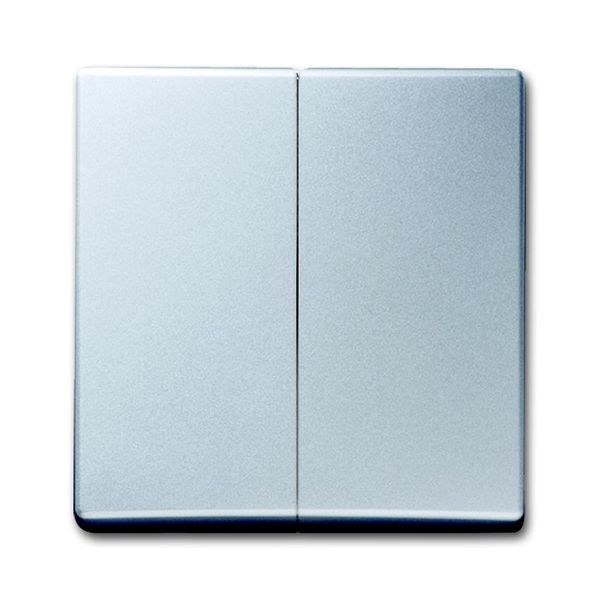 2105-33 CoverPlates (partly incl. Insert) carat® Aluminium silver image 1