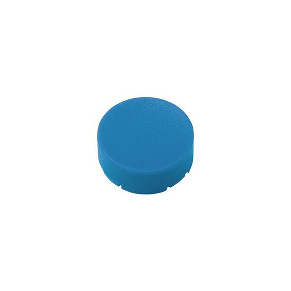Button plate, raised blue, blank image 2
