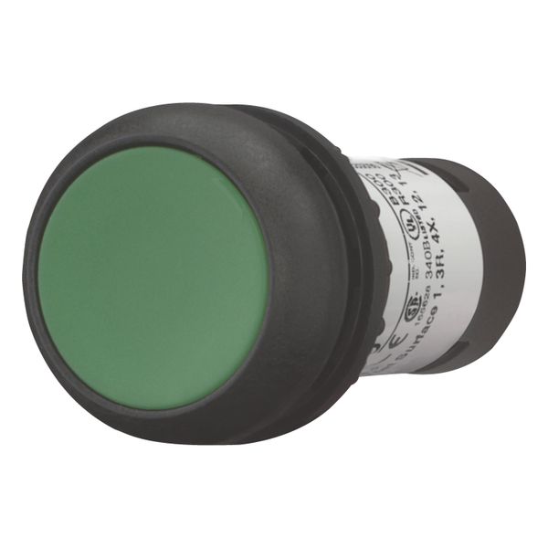 Pushbutton, Flat, momentary, 2 N/O, Screw connection, green, Blank, Bezel: black image 2