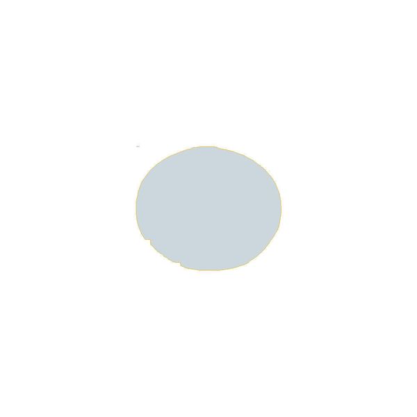 Button lens, flat white, blank image 2