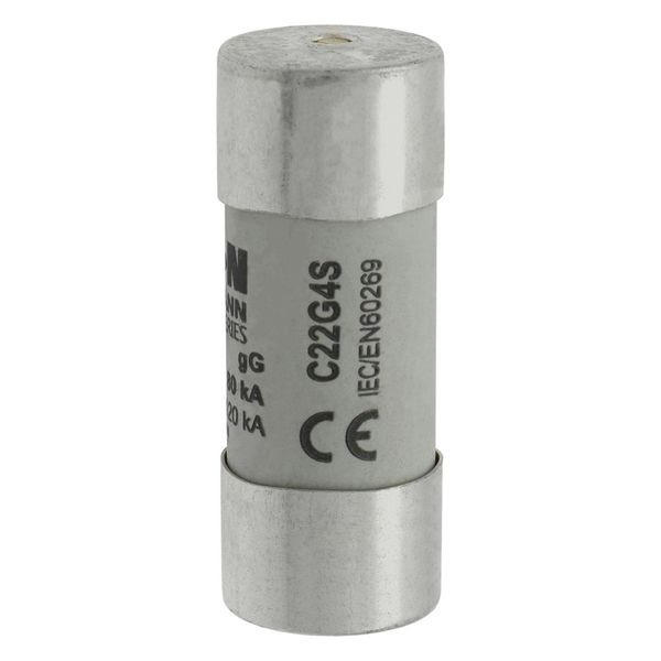 Fuse-link, LV, 4 A, AC 690 V, 22 x 58 mm, gL/gG, IEC, with striker image 18