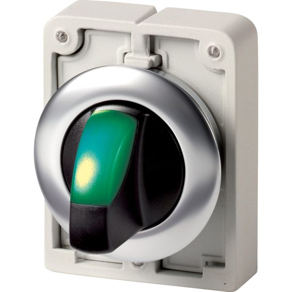 Illuminated selector switch actuator, RMQ-Titan, with thumb-grip, maintained, 2 positions (V position), green, Front ring stainless steel image 5