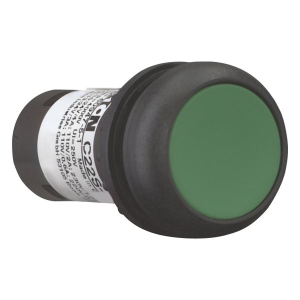 Pushbutton, Flat, maintained, 2 N/O, Screw connection, green, Blank, Bezel: black image 13