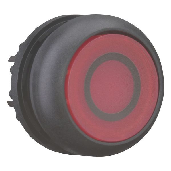 Illuminated pushbutton actuator, RMQ-Titan, Flush, momentary, red, inscribed, Bezel: black image 5