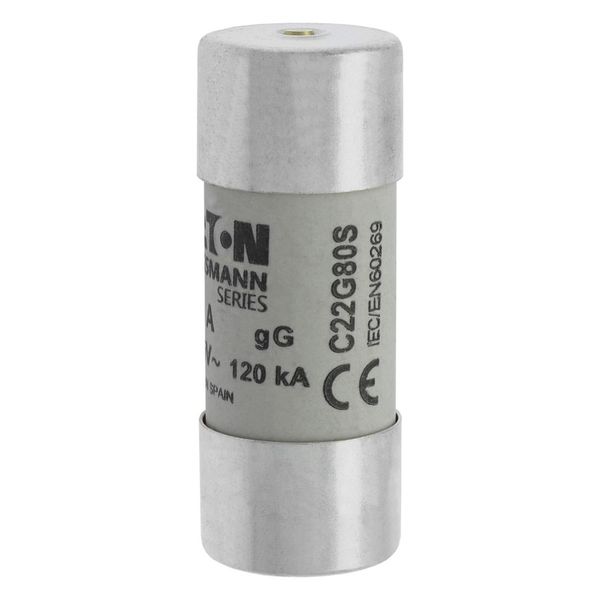 Fuse-link, LV, 80 A, AC 500 V, 22 x 58 mm, gL/gG, IEC, with striker image 6