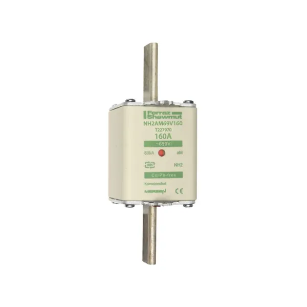 Fuse-link NH2 aM 690VAC 160A live tags Double indicator image 2