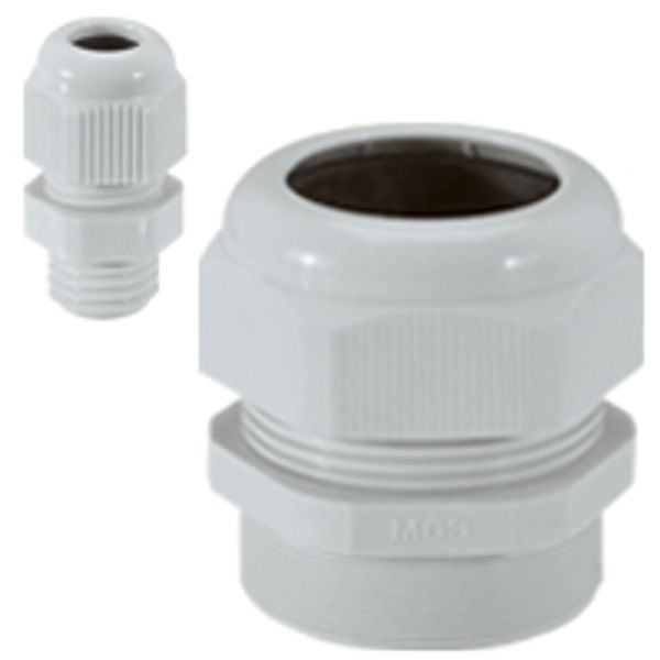 Cable gland plastic - IP 55 - ISO 32 - clamping capacity 18-25 mm - RAL 7035 image 1