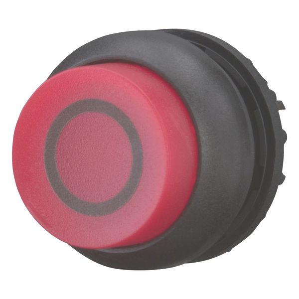 Illuminated pushbutton actuator, RMQ-Titan, Extended, maintained, red, inscribed, Bezel: black image 4