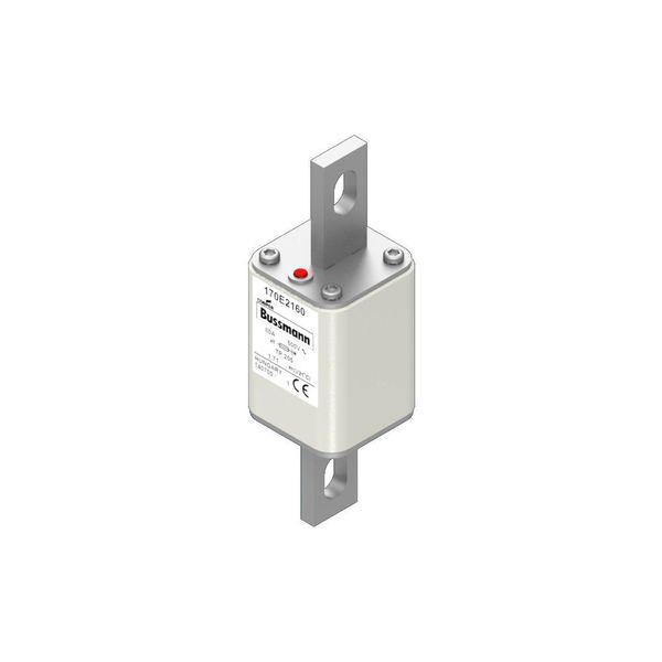 Fuse-link, high speed, 80 A, AC 500 V, 45 x 45 x 141 mm, aR, IEC, with indicator image 2