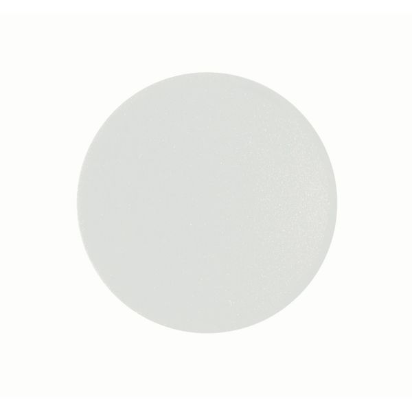 Button plate, flush, white image 1