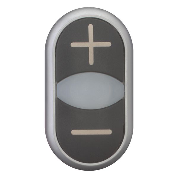 Double actuator pushbutton, RMQ-Titan, Actuators and indicator lights non-flush, momentary, White lens, black, black, inscribed, Bezel: titanium image 10