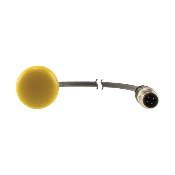 Indicator light, Flat, Cable (black) with M12A plug, 4 pole, 0.2 m, Lens yellow, LED white, 24 V AC/DC image 14