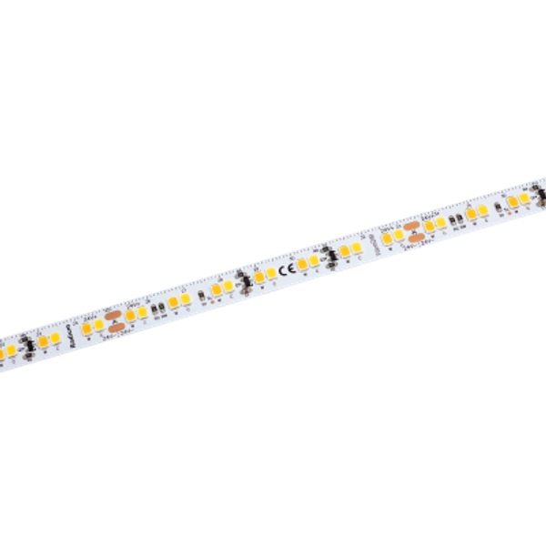 LED Star Strip 1500 WarmDim, LED STRIP 1500WD S 930-919/24V IND image 3
