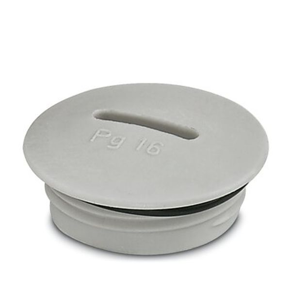 Screw plug image 3