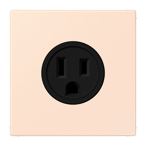 Socket US NEMA system LC32082 LC521-15226 image 1