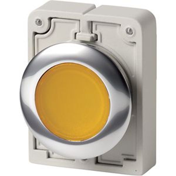 Illuminated pushbutton actuator, RMQ-Titan, Flat, maintained, yellow, Blank, Metal bezel image 4