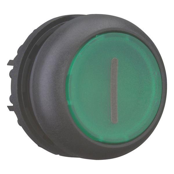Illuminated pushbutton actuator, RMQ-Titan, Flush, momentary, green, inscribed, Bezel: black image 7