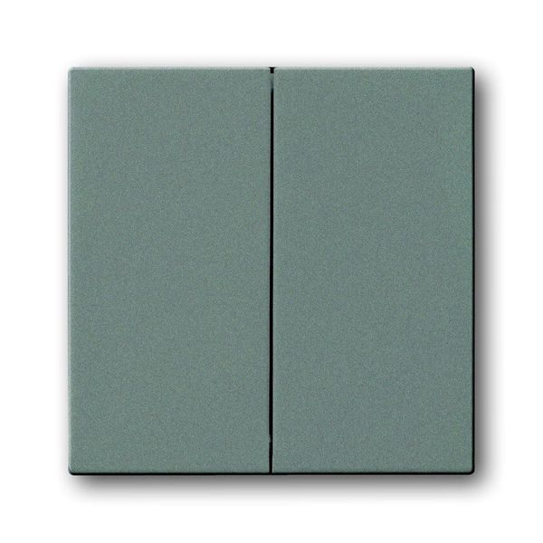 1785-803 CoverPlates (partly incl. Insert) Busch-axcent®, solo® grey metallic image 1