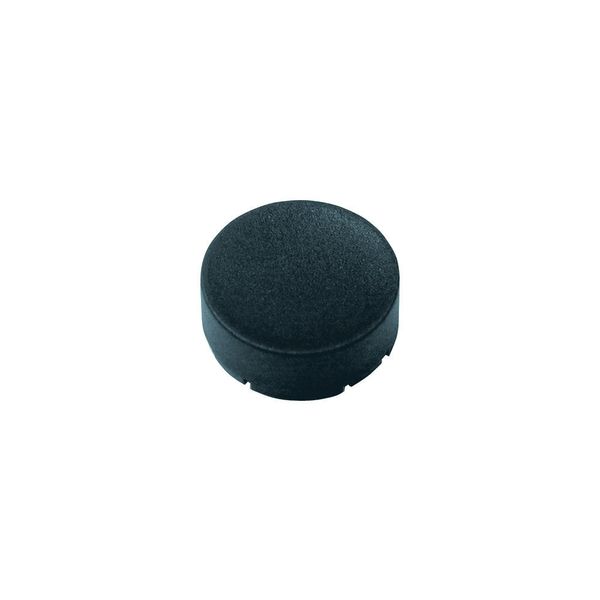 Button plate, raised black, blank image 2