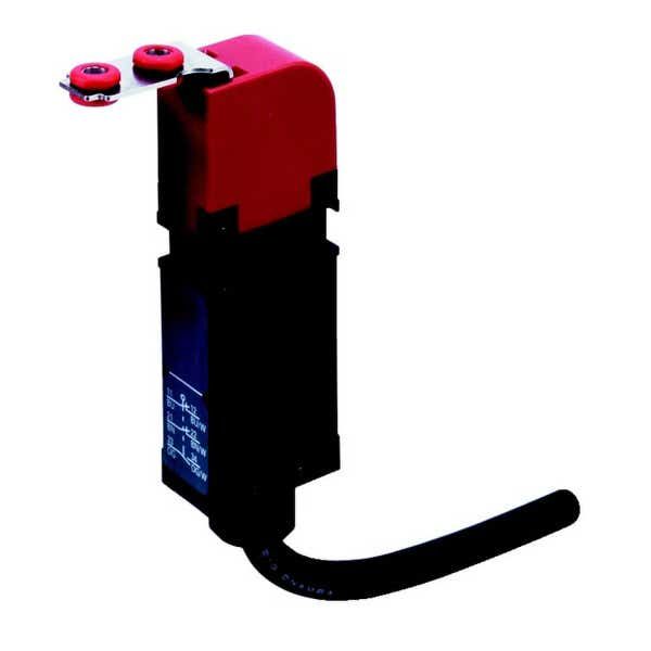 Safety door switch, IP67, 1NC/1NO (slow-action), vertical key insertion, 5m cable D4GS0024D image 1